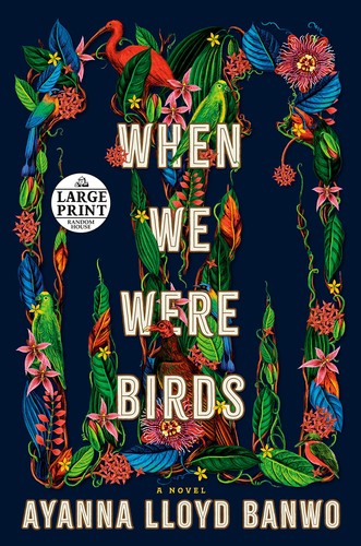 Ayanna Lloyd Banwo: When We Were Birds (2022, Diversified Publishing)